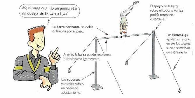 ESTRUCTURAS Y PARTES DE LAS ESTRUCTURAS