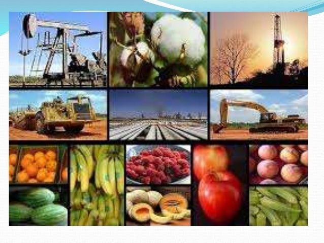 Sector productivo