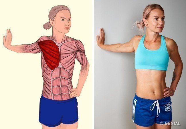 Estiramiento muscular