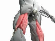 Estiramiento muscular