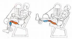 Estiramiento muscular