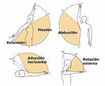Estiramiento muscular