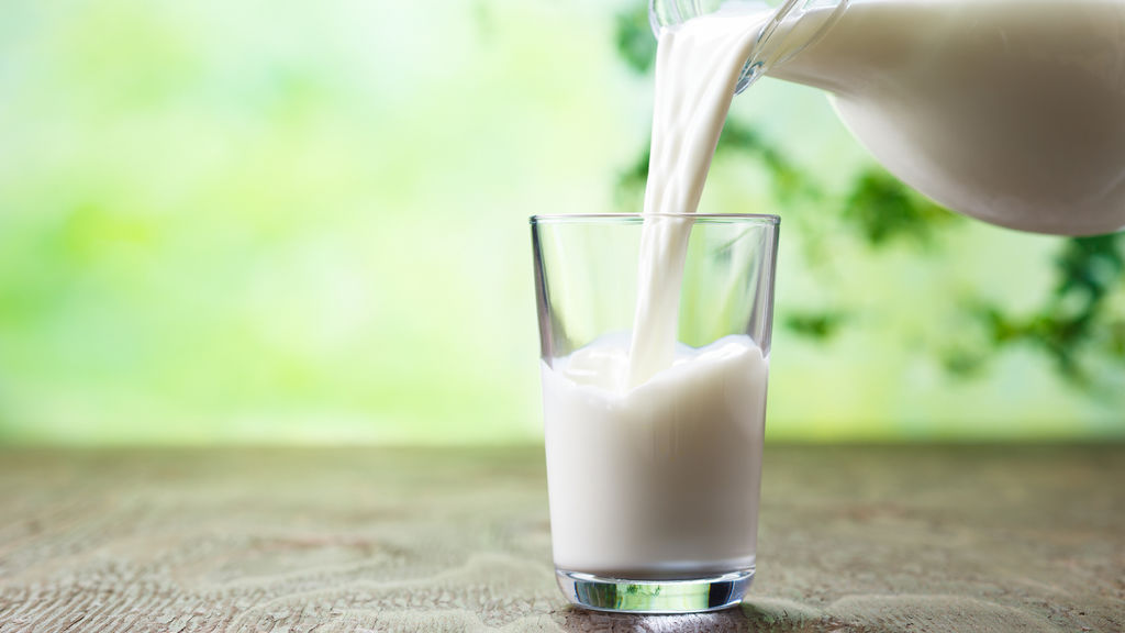 die Milch