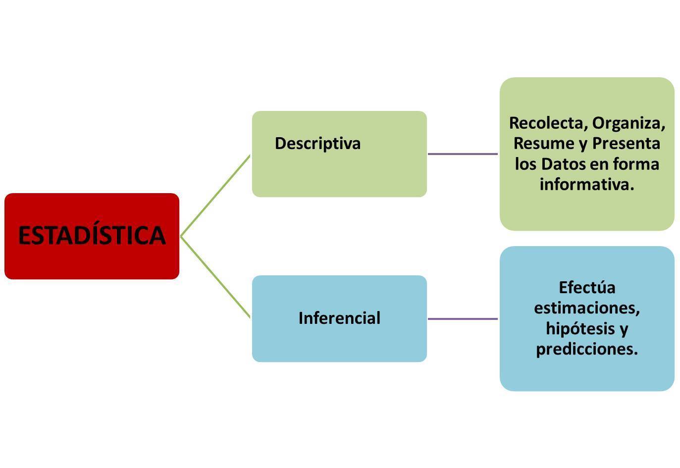 Clasificación de la Estadística