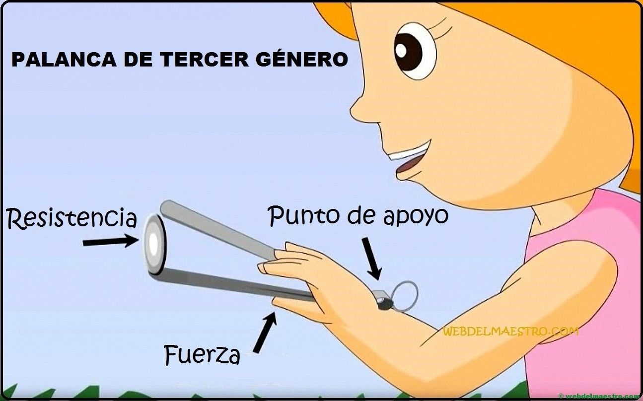 Las fuerzas y las maquinas simples