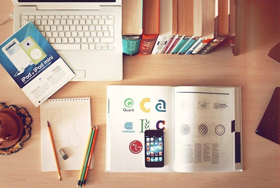 COMPONENTES PROYECTO ACADÉMICO PEDAGÓGICO SOLIDARIO PAPS