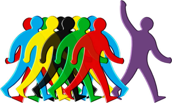 COMPONENTES PROYECTO ACADÉMICO PEDAGÓGICO SOLIDARIO PAPS