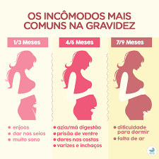 Diagnóstico de Gravidez | Flashcards