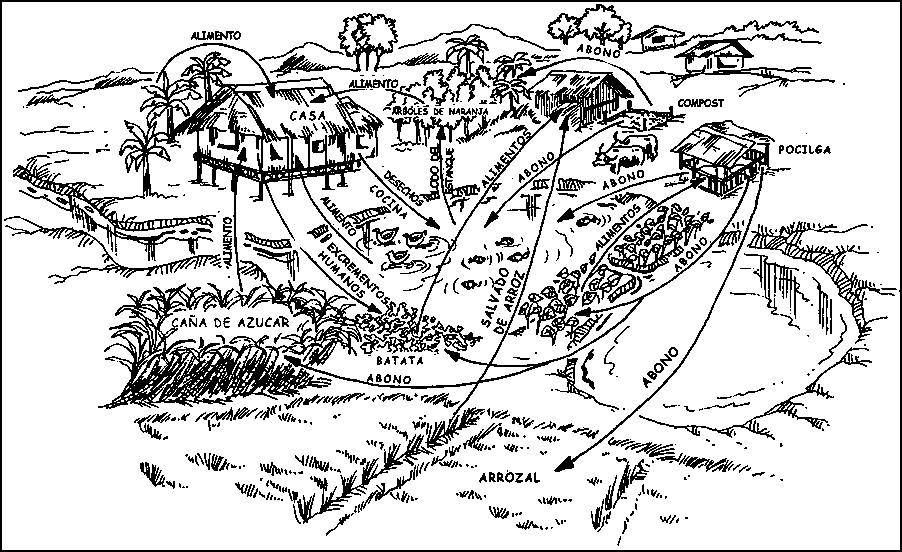 UNIDAD IV: AGRICULTURA ORGÁNICA