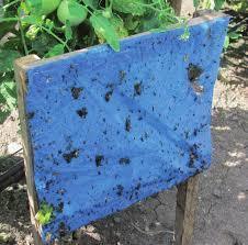 2.6.- Manejo Agroecológico en sistemas productivos