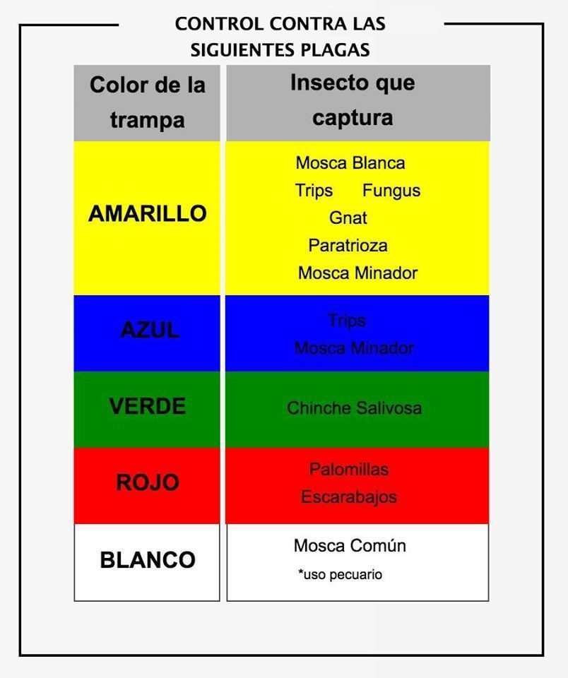 2.6.- Manejo Agroecológico en sistemas productivos