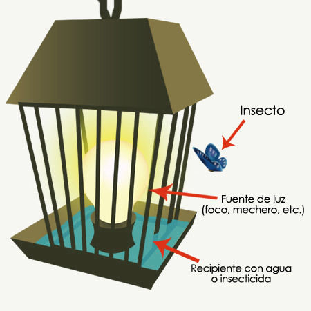 2.6.- Manejo Agroecológico en sistemas productivos
