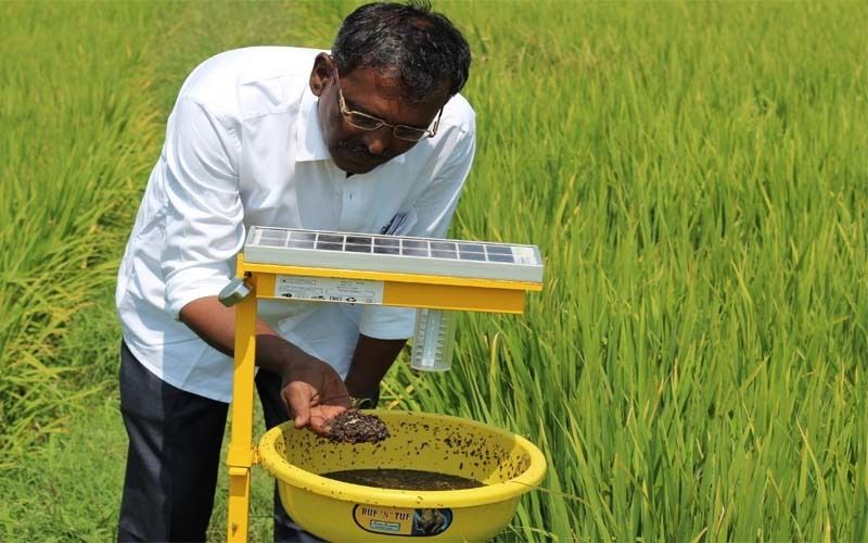 2.6.- Manejo Agroecológico en sistemas productivos