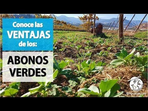 Unidad III. BASES PARA LAIMPLEMENTACIÓN DE UNA FINCAORGÁNICA.