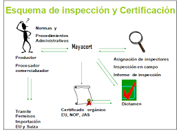 Unidad III. BASES PARA LAIMPLEMENTACIÓN DE UNA FINCAORGÁNICA.