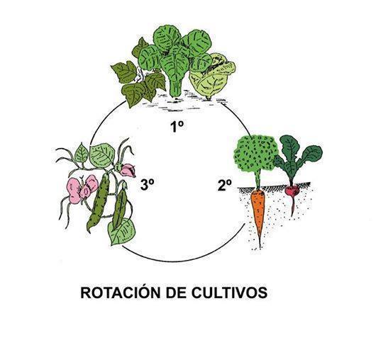 Unidad III. BASES PARA LAIMPLEMENTACIÓN DE UNA FINCAORGÁNICA.