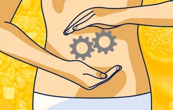 Metabolismo