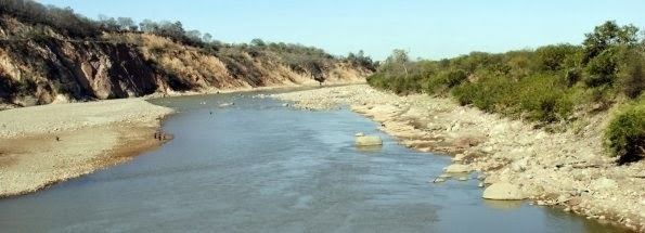 Al norte, el Guayquiraró, "Pequeño Gordo Pintado"