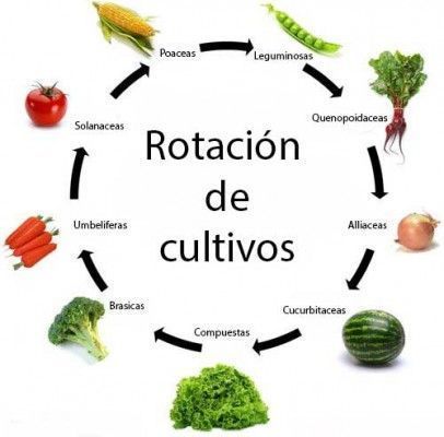 UNIDAD IV: AGRICULTURA ORGÁNICA