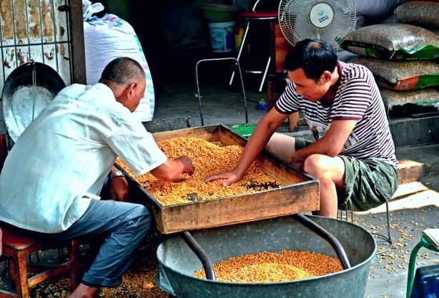 UNIDAD IV: AGRICULTURA ORGÁNICA