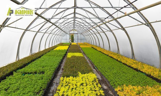 4.4.- Tipos de cultivos para una fincaintegral
