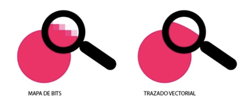 Illustrator Conceptos