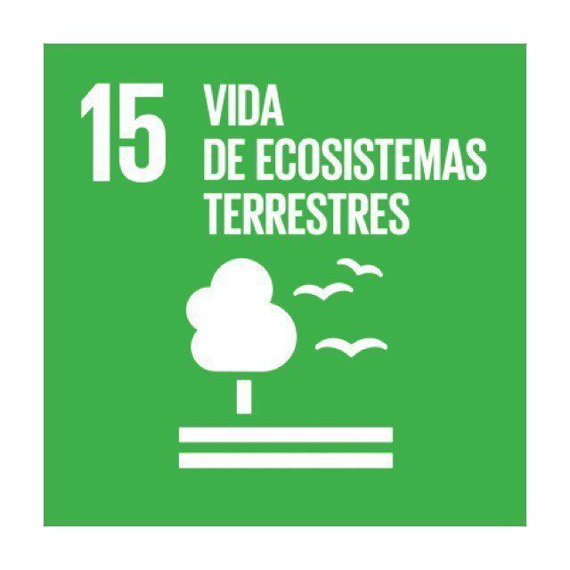 BIOCUADERNOS-CALAMA 2020