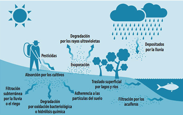 Sustancias bio acumuladas que contaminan el ambiente