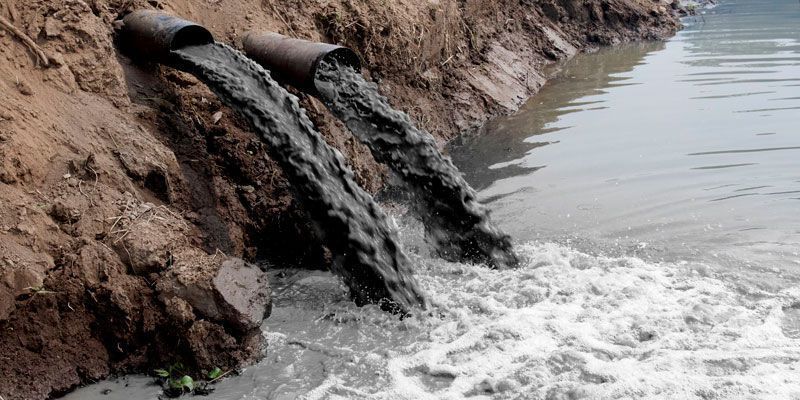 Sustancias bio acumuladas que contaminan el ambiente