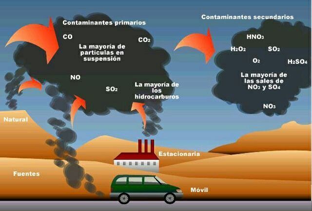 Sustancias bio acumuladas que contaminan el ambiente