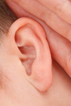 Relaciòn del sistema nervioso y reproductivo