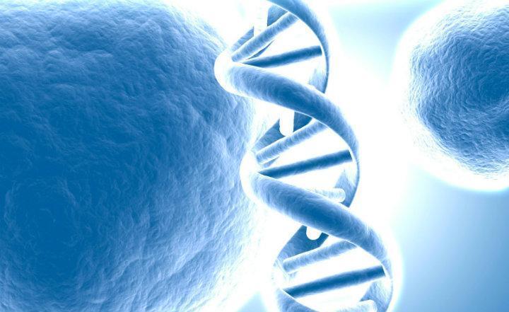 La biología molecular