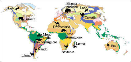 La biogeografía
