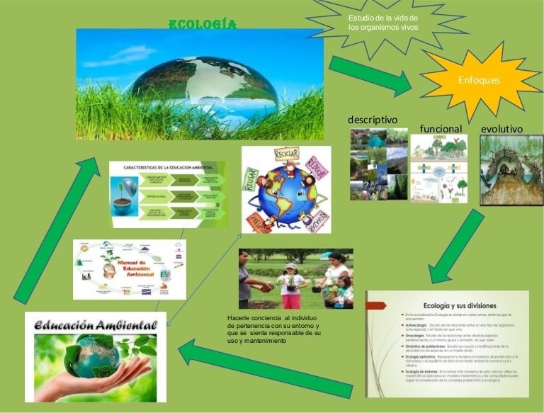 La ecología