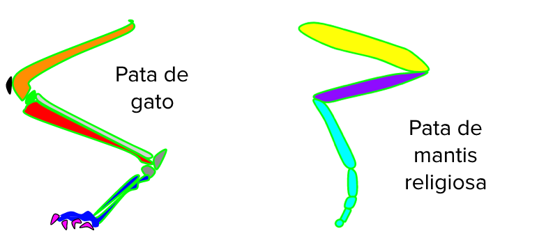 Herramientas de la sistemática