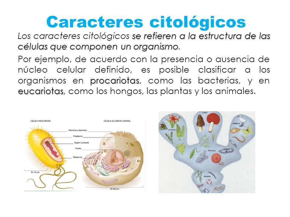 Herramientas de la sistemática