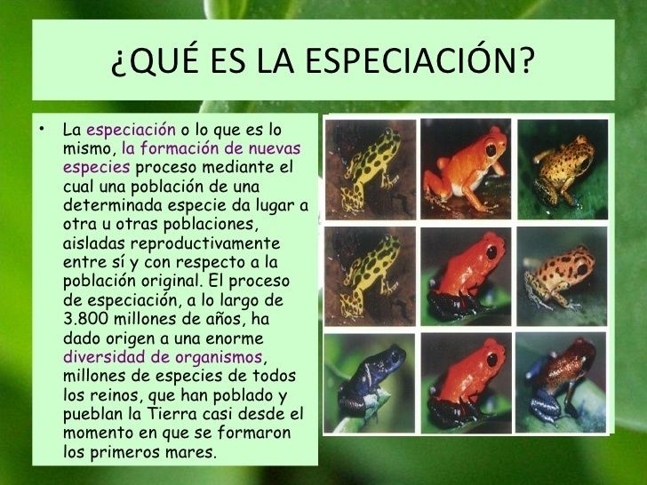 Herramientas de la sistemática