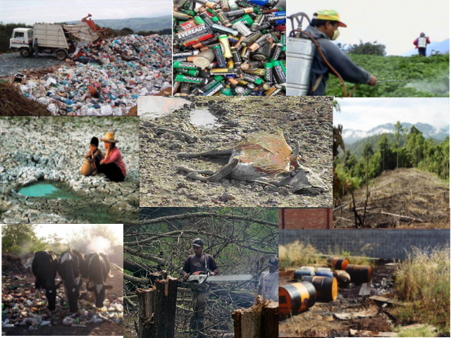 Desequilibrio ambiental