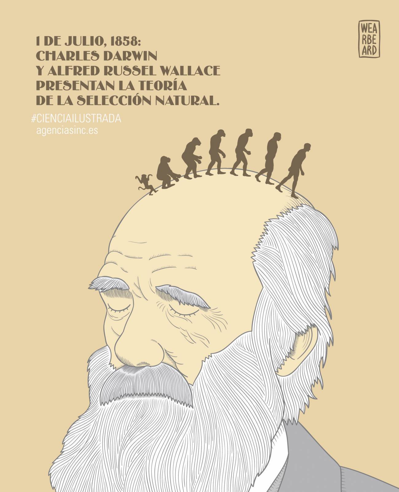 TEORIA DE LA EVOLUCIÓN