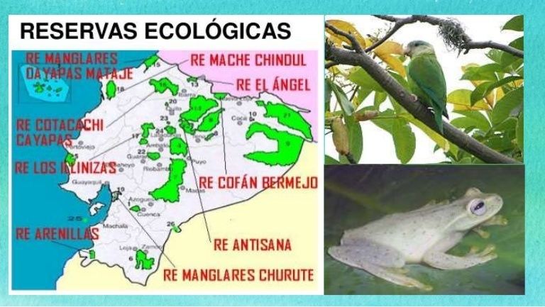 Sistema Nacional de Areas Protegidas