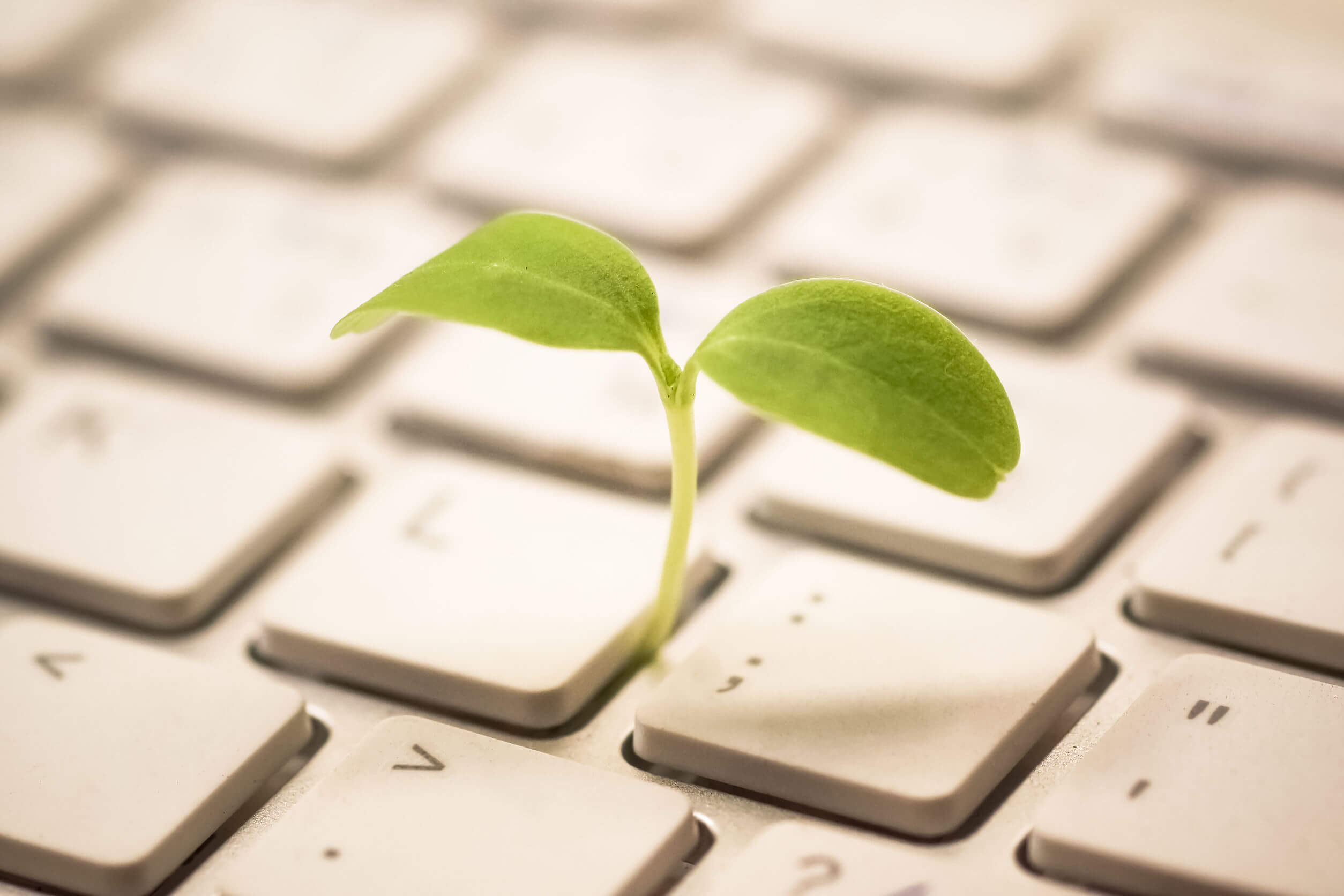 EL INTERNET Y LA NUEVA ERA