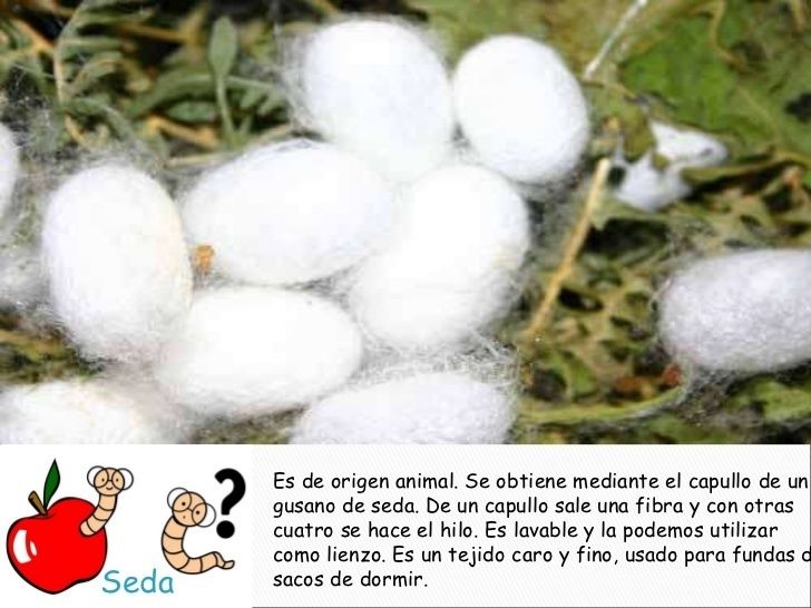 Clasificación de los materiales textiles según su origen
