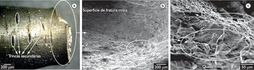 Etapas utilizadas para o procedimento Metalográfico