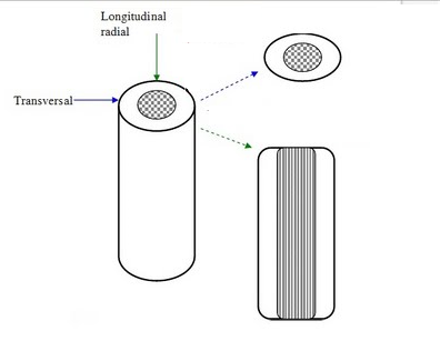 Etapas utilizadas para o procedimento Metalográfico