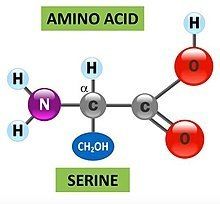EXCRECIÓN RENAL DE FÁRMACOS/FARMACOCINÉTICA