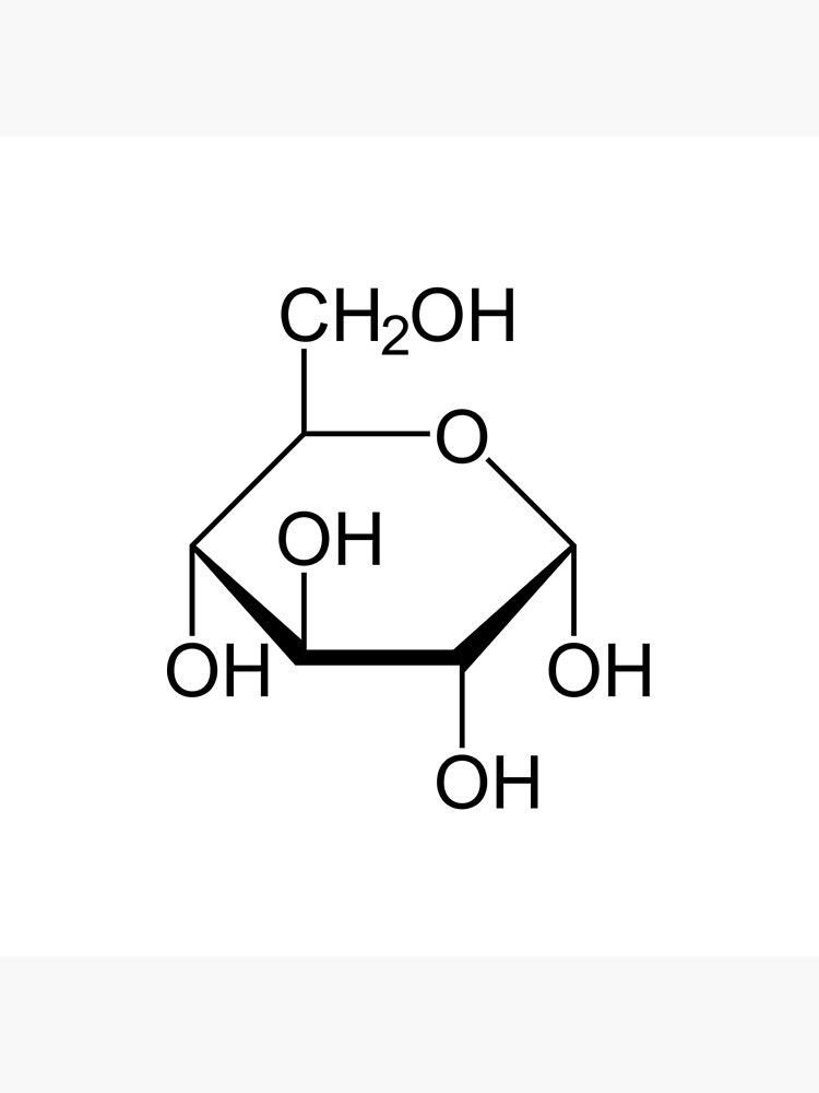 EXCRECIÓN RENAL DE FÁRMACOS/FARMACOCINÉTICA