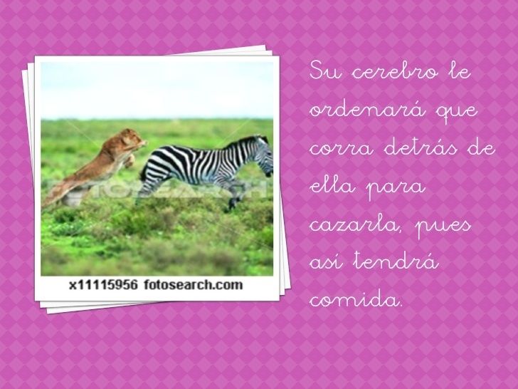 FUNCIONES VITALES DE LOS SERES VIVOS
