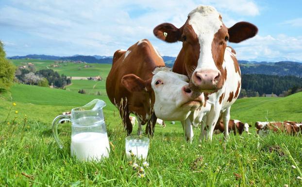 Los seres humanos descubren el valor del estiércol como fertilizante, y la leche se convierte en un producto principal.