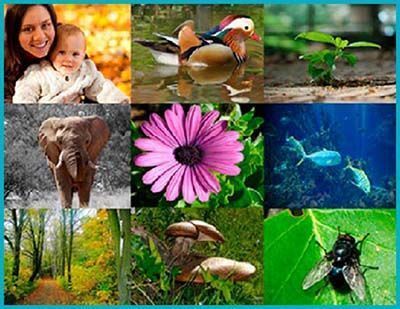 Das Atom als grundlegender Bestandteil des Menschen und der Natur.
