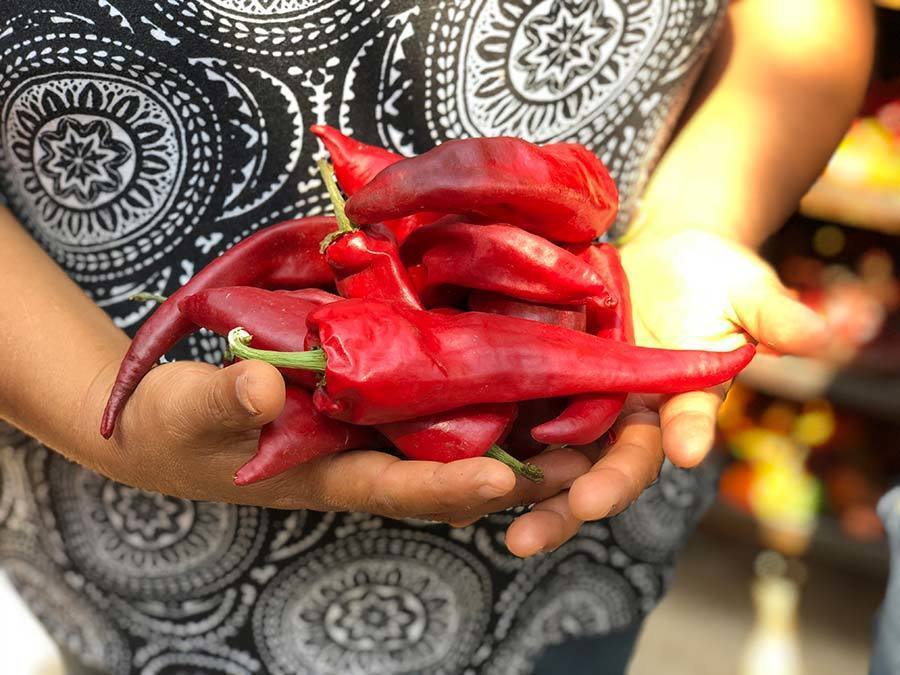 La diversidad de chiles en México